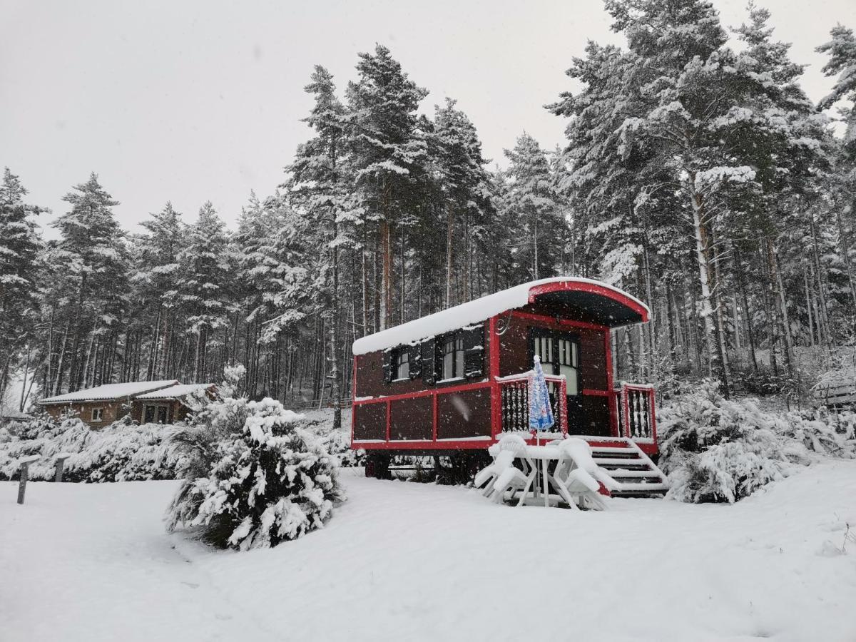 Les Chalets du Haut-Forez Usson-en-Forez Extérieur photo