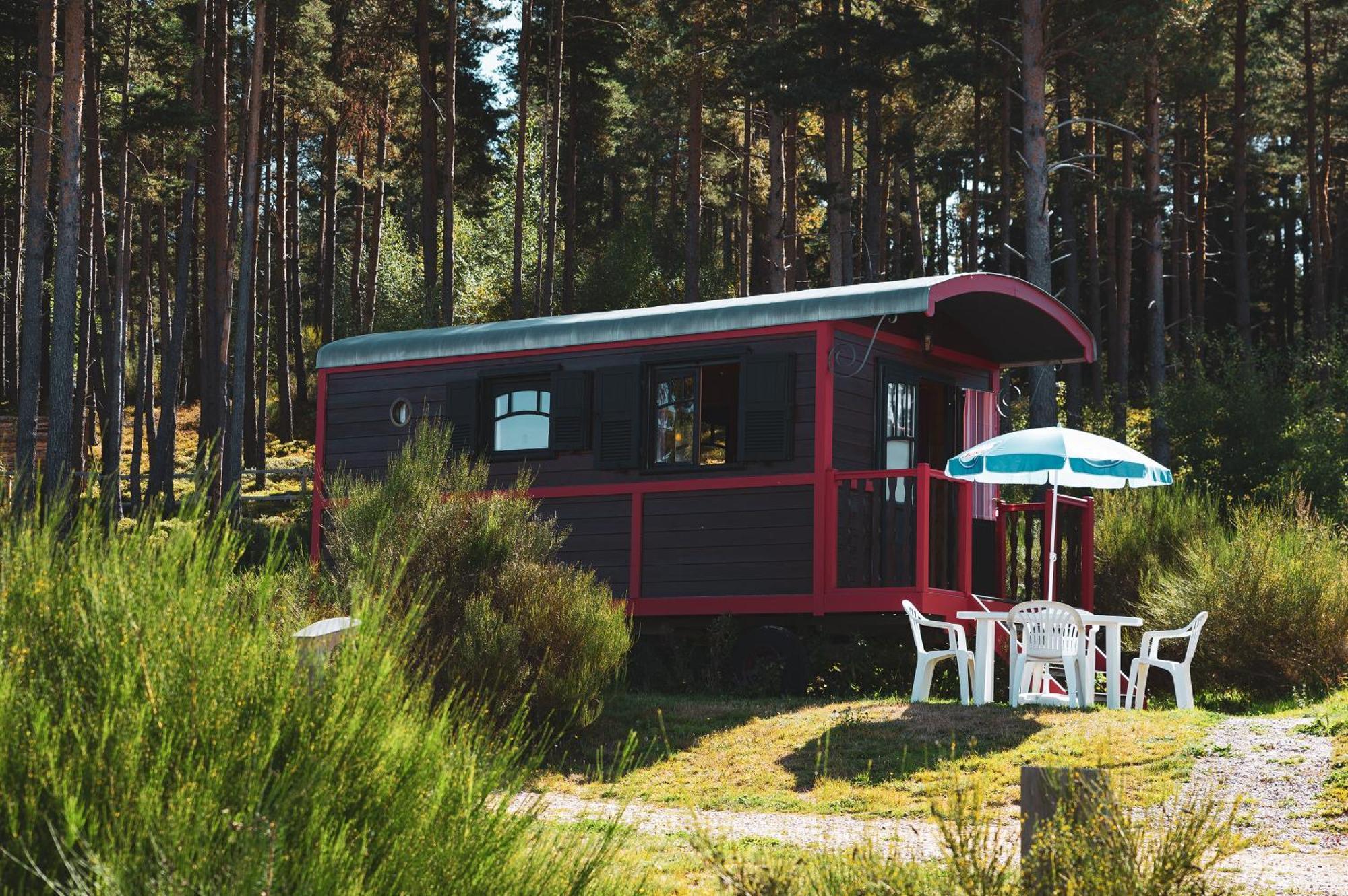 Les Chalets du Haut-Forez Usson-en-Forez Extérieur photo